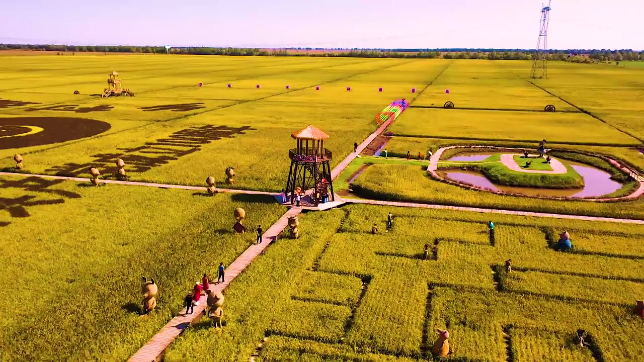 金秋九月,黑河市爱辉区西岗子镇的稻田公园,稻浪金黄,丰收的田野犹如