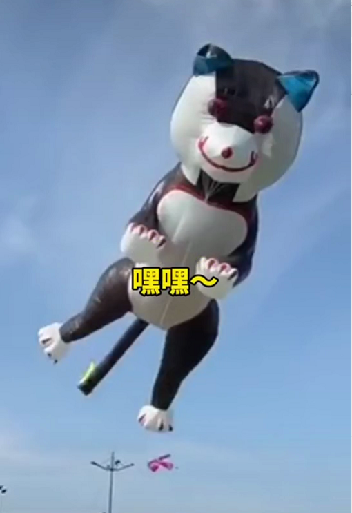 心疼又好笑!男子放风筝,差点被"二哈"拽上天