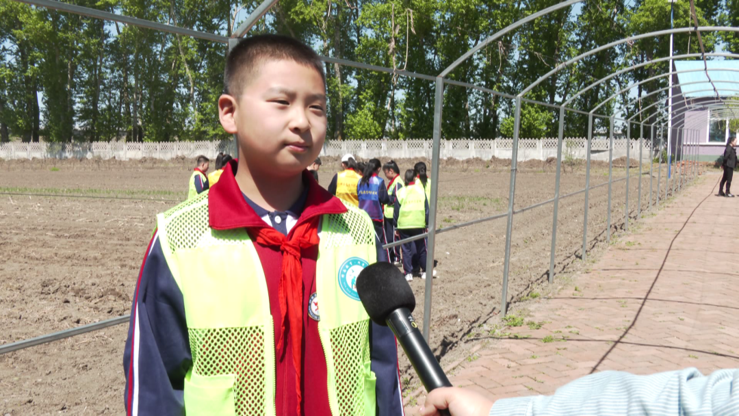 桦南:开心农场 我们做主