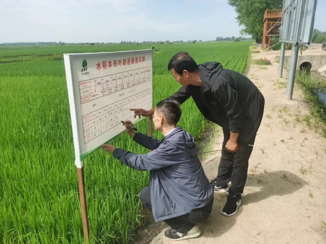 【奋战2024】抓好夏管工作 夯实丰收基础