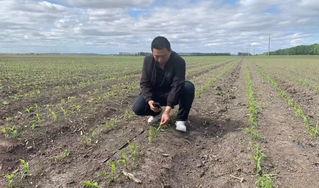 【奋战2024】抓好夏管工作 夯实丰收基础